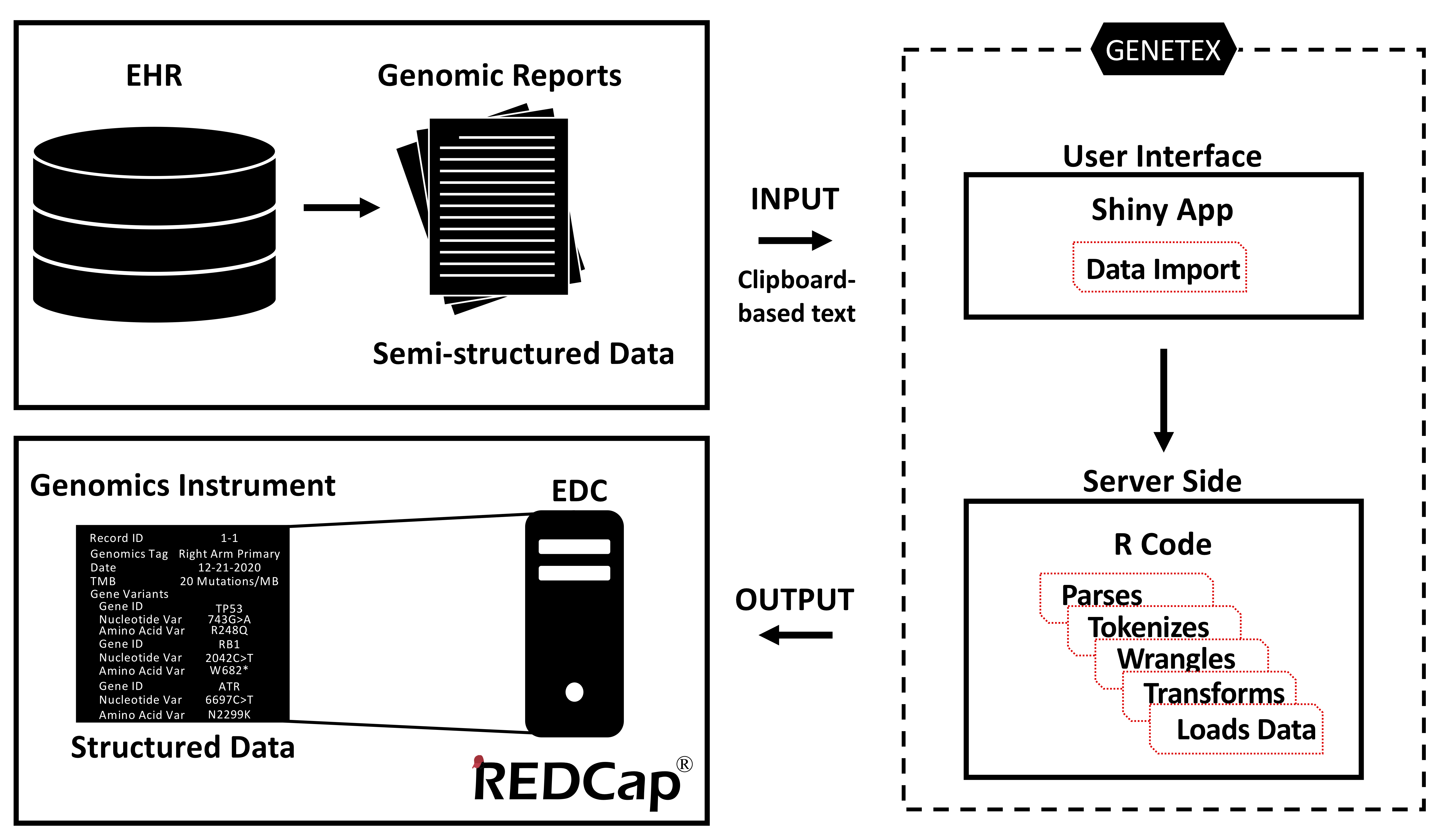 Figure 1. Schema of GENETEX